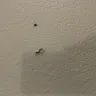 Red Roof Inn - Everything - Photo 8