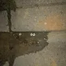 Washington Gas / WGL Holdings - Damage to my property - Photo 6