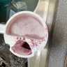 Kraft Heinz - Break stones cottage doubles Blue berry - Photo 1