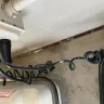 Home Depot - Handicap carts - Photo 2