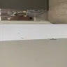 The Brick - Delivery Fridge - Photo 2