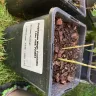 Gardening Express - Plants received were dead and damaged