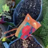 Gardening Express - Plants received were dead and damaged - Photo 5