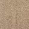 Mohawk Industries - Smart Strand Pet Stain Carpet - Photo 1