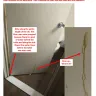 Wyndham Vacation Ownership - Quality of the room's cleanliness - Photo 2