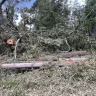 Entergy - Lineman work debri/old telephone left on driveway - Photo 1