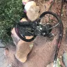 Fidelity National Financial - Sewer grinder pump - Photo 1