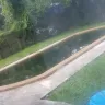 Leslie's Pool Supplies - Customer service - Photo 1