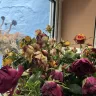 Prestige Flowers - Poor, non merchantable quality of flowers, which were not fit for purpose - Photo 2