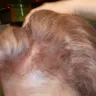 SmartStyle - Hair coloring - Photo 1