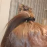 SmartStyle - Hair coloring - Photo 4