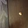 My M&M's - A piece of ceramic, bone or tooth in my m&m