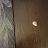 My M&M's - A piece of ceramic, bone or tooth in my m&m - Photo 1