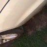 Credit Acceptance - I'm filing a complaint about my 2014 Chevrolet Impala that was damaged during repossession. - Photo 10
