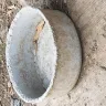 Expo Furniture Gallery - Dog kept behind the store in deplorable conditions - Photo 2