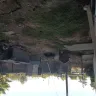 Expo Furniture Gallery - Dog kept behind the store in deplorable conditions - Photo 3