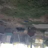Expo Furniture Gallery - Dog kept behind the store in deplorable conditions - Photo 6
