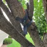 PODS Enterprises - Restitution for property damage during pod delivery - Photo 3