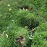 PODS Enterprises - Restitution for property damage during pod delivery - Photo 2