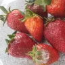 Shoprite Checkers - Freshmark Strawberries 250g