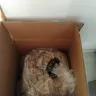 Singapore Post (SingPost) - Service. Parcel received with missing items and trash/ paper booklets inside the box. - Photo 2