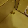 Baymont Inn & Suites - Issues with Room/Was not clean - Photo 5