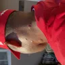Kampgrounds Of America [KOA] - Bed bugs - Photo 9