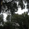 Duke Energy - Powerline Arc - Photo 2