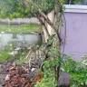 Avadi Municipality - Rain water staging - Photo 1