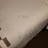 Red Roof Inn - Dirty bed linen, dirty shower, no breakfast, spider webs - Photo 9