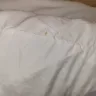 Red Roof Inn - Dirty bed linen, dirty shower, no breakfast, spider webs - Photo 3