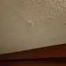 Red Roof Inn - Dirty bed linen, dirty shower, no breakfast, spider webs - Photo 1