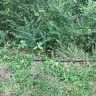 AT&T - ATT lines across my property on the ground - Photo 5