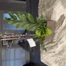 Teleflora - Order # [protected] - Photo 2