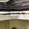 LeafGuard Holdings - Installed product - Photo 1
