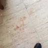 Merry Maids - Worst service ever from Merry Maids New Rochelle - Photo 1