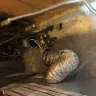 Whirlpool - Dryer - Photo 1