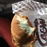 A&W Restaurants - Kiddy cheese burger had moldy bun. - Photo 1