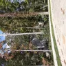 Ryan Homes - Landscape not completed - Photo 2