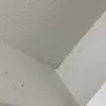 Red Roof Inn - Violation of health code - Photo 8