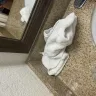 Red Roof Inn - Violation of health code - Photo 3