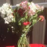 Bloomex - Two deliveries flowers arriving one week late dead and second delivery hamper to the value of $144 only had content to the value of $41.55