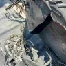 Wheelfire - Terrible service and defective products - Photo 2
