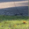 Optimum - Property damage - Photo 2