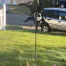 Optimum - Property damage - Photo 6