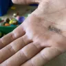 Coca-Cola - My son found hair in his bottle of pop just now - Photo 1