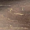 Bruce Hardwood Flooring - Bruce Frontier Collection Hickory Color Brushed Tumbleweed - Photo 1