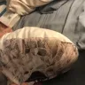 Norassj.com - Scam didn’t received the product I bought - Photo 4