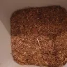 Camel - Found a leaf in my box of shaq