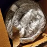 Wayfair - Delivered the wrong product - Photo 2